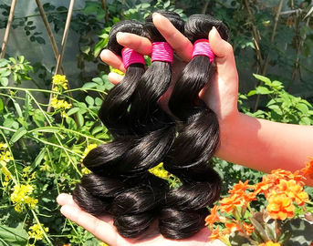 Chiny Zdrowe 100% malezyjskie ludzkie włosy wyplatają naturalną czerń / ciemnobrązowy od młodej dziewczyny dostawca